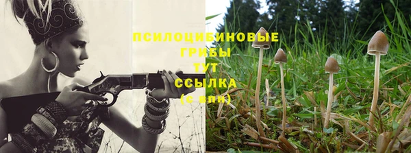 а пвп мука Горно-Алтайск