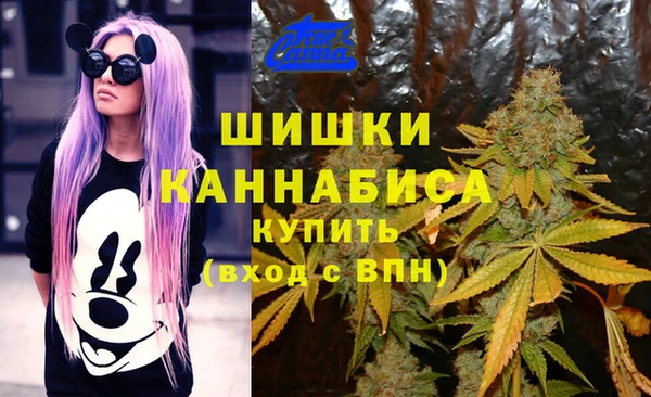 альфа пвп Горняк