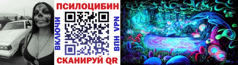 Купить закладки  Котовск  Галлюциногенные грибы Cubensis 