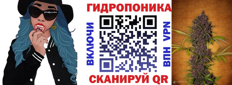 Купить закладки  Котовск  Шишки марихуана VHQ 